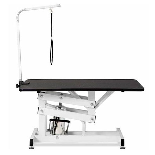 Grooming Instruktör Luminous Table
